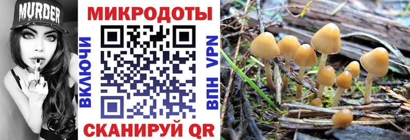 купить   мориарти как зайти  Галлюциногенные грибы Cubensis  Россошь 